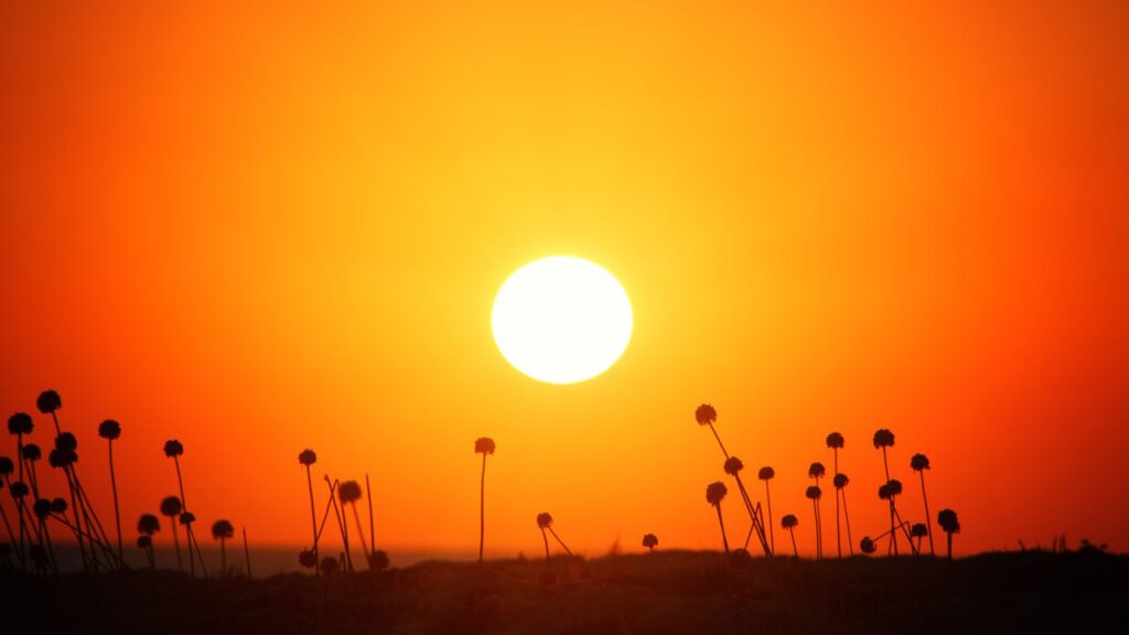 sistema aquecimento de agua solar